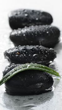 Piedras negras mojadas. Concepto zen, calma y equilibrio.